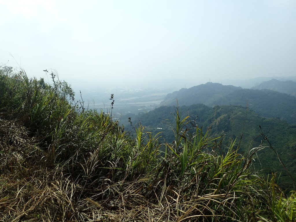 P3016107.JPG - 草屯平林  九九峰森林步道