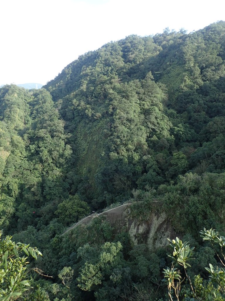 P1224364.JPG - 再訪---  平溪  孝子山登山步道