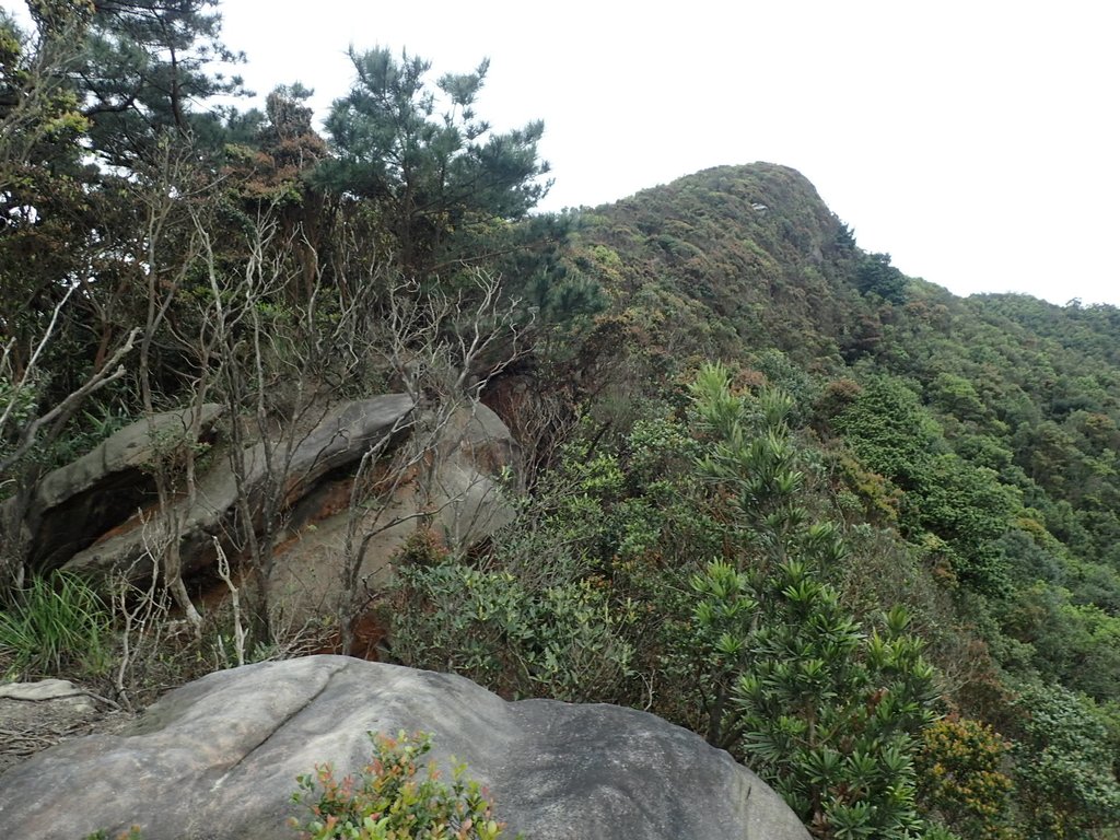 P3160073.JPG - 汐止  柯子林山  如意湖