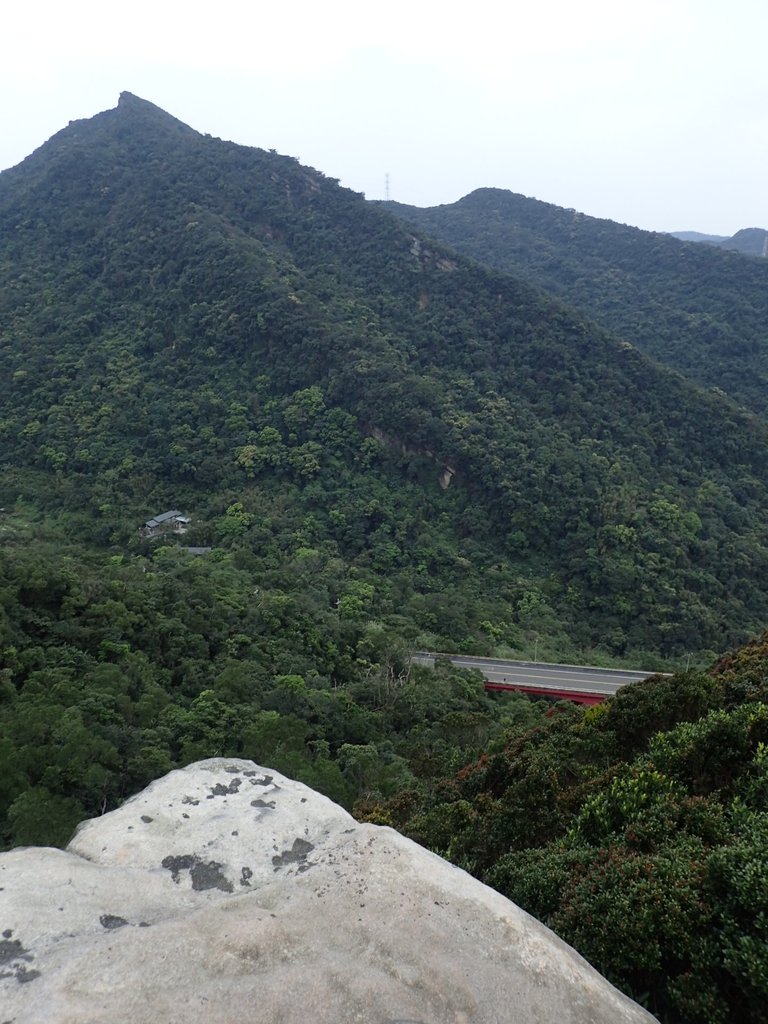 P3160156.JPG - 汐止  金面山(金明山)  稜線步道