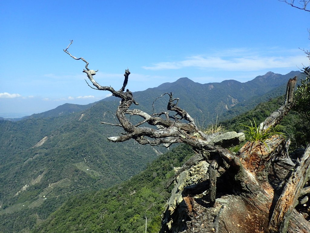 P3167269.JPG - 谷關  屋東縱走