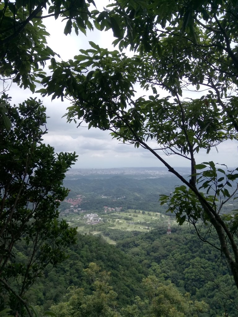 DSC_3000.JPG - 大溪  金面山登山步道