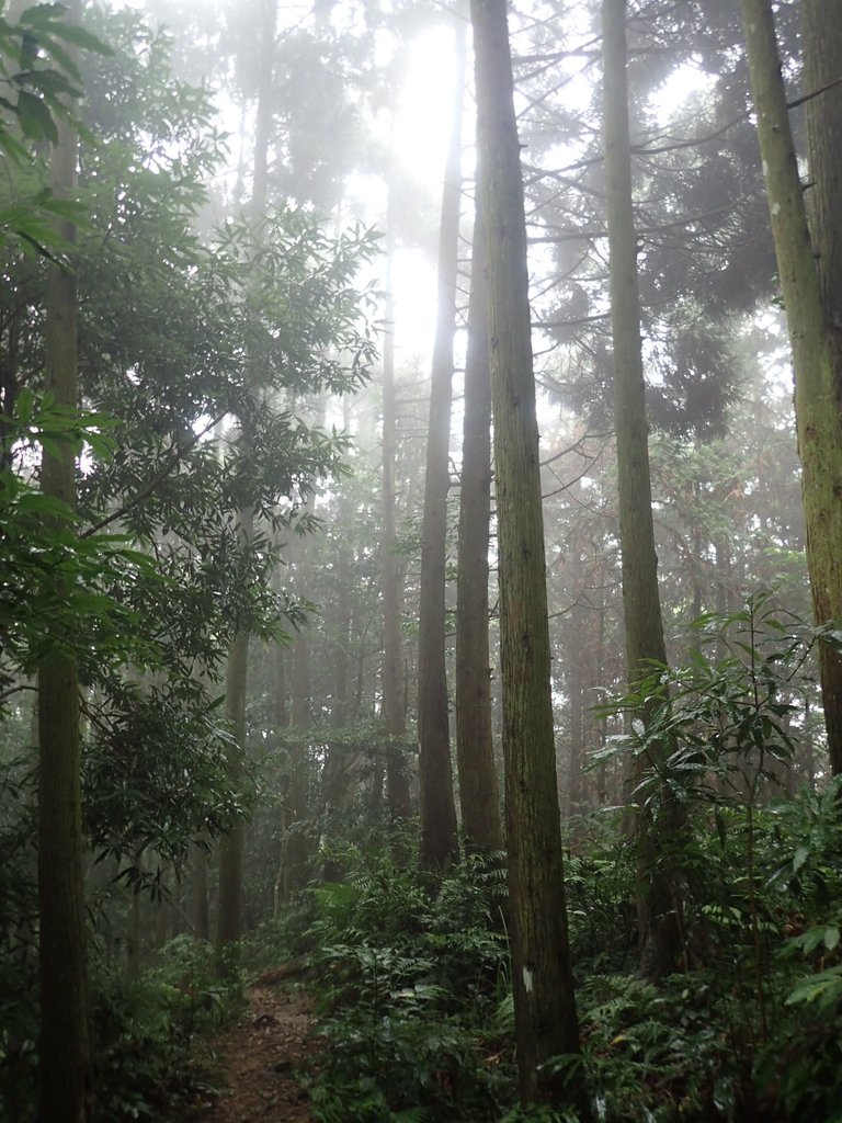 P9250146.JPG - 南庄  向天湖山  光天高山