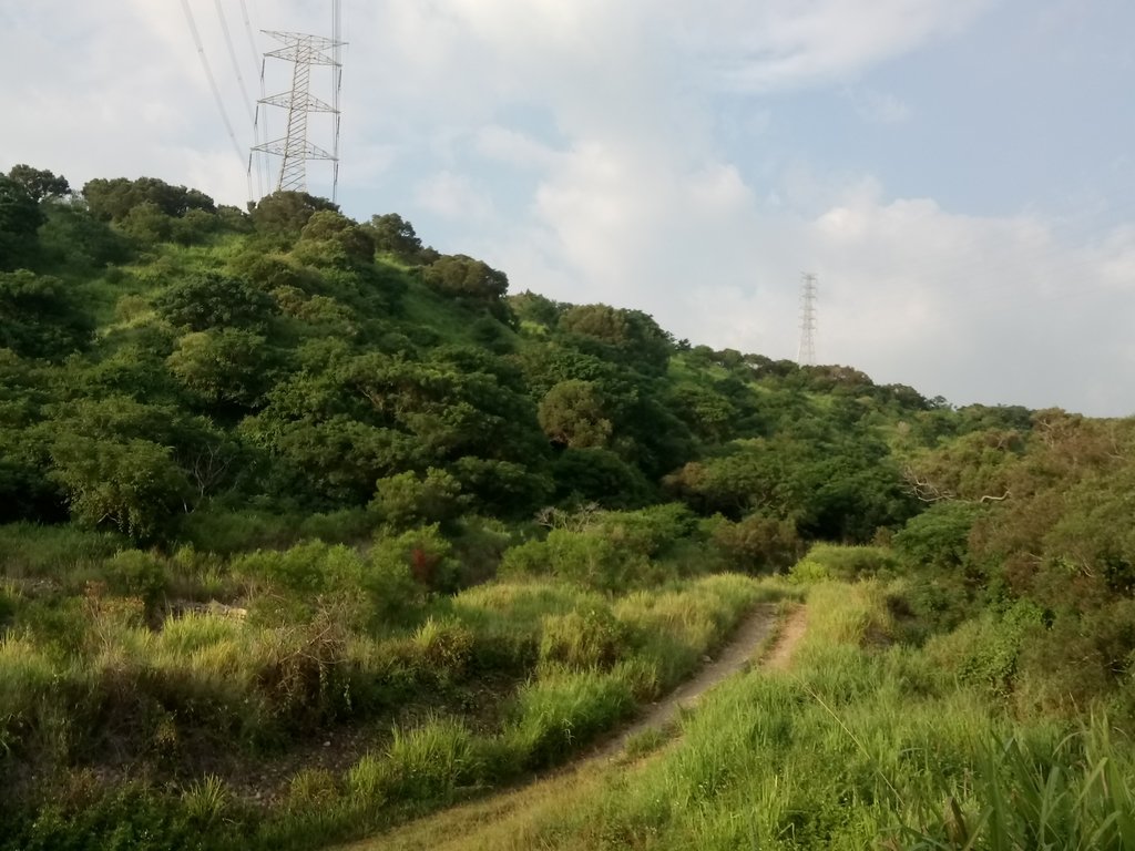 DSC_5831.JPG - 龍井  竹坑南寮登山步道