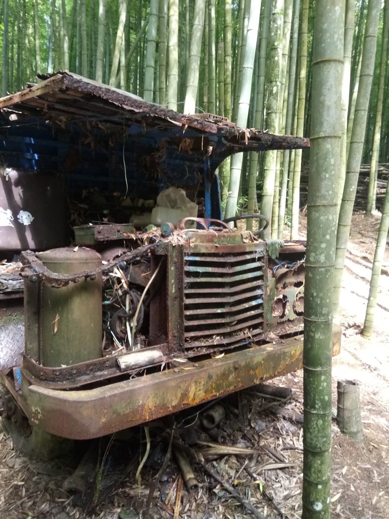 DSC_5221.JPG - 台中和平  長壽山登山步道  (中)