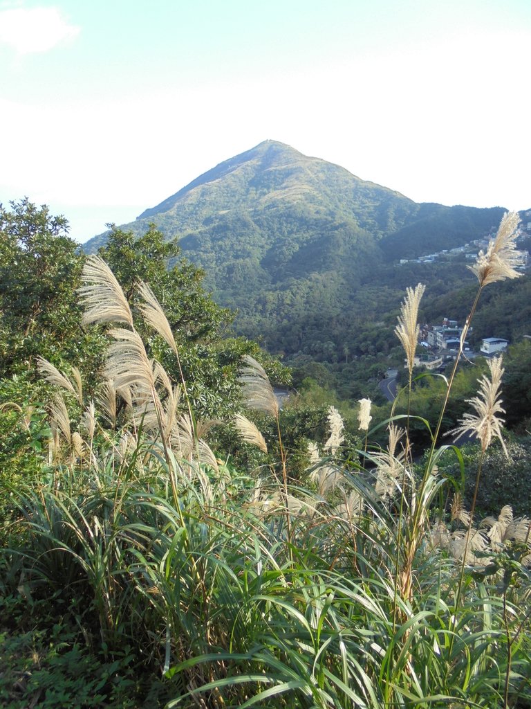 DSC00977.JPG - 九份  琉榔路觀光步道