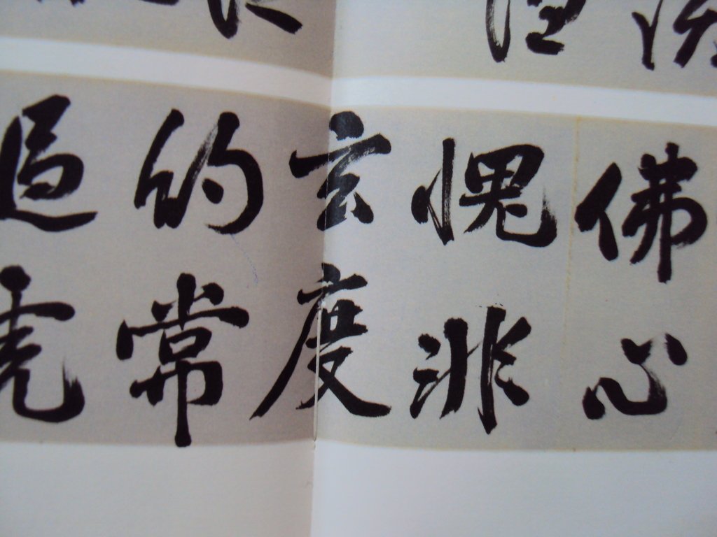 DSC00826.JPG - 王問  草書作品