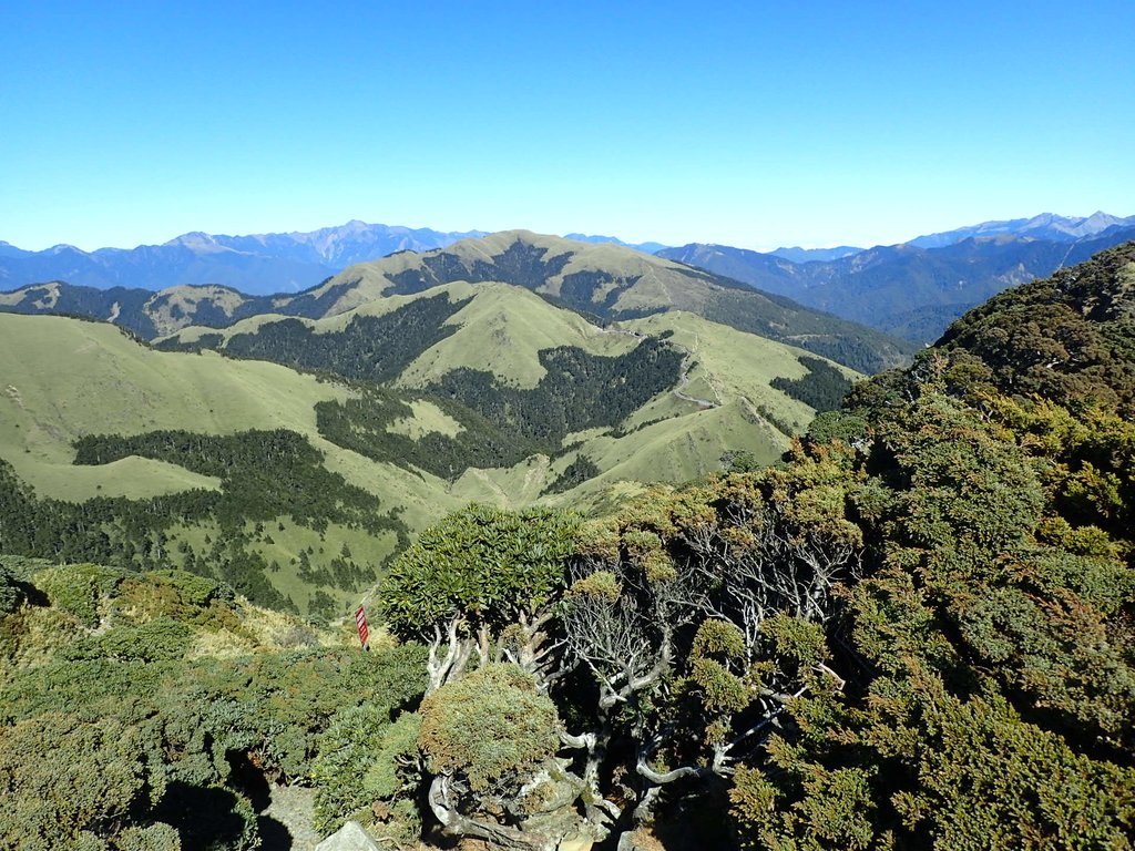 PC132149.JPG - 合歡山  東峰