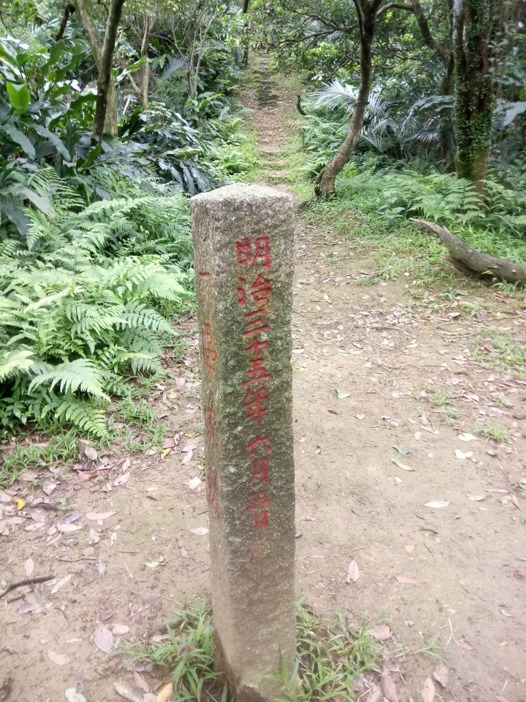 DSC_9322.JPG - 基隆  五坑山  總督嶺步道