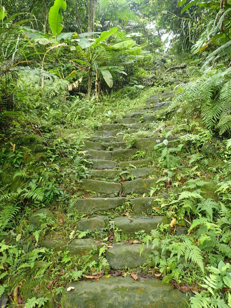 P4051093.JPG - 深坑  炮子崙登山步道