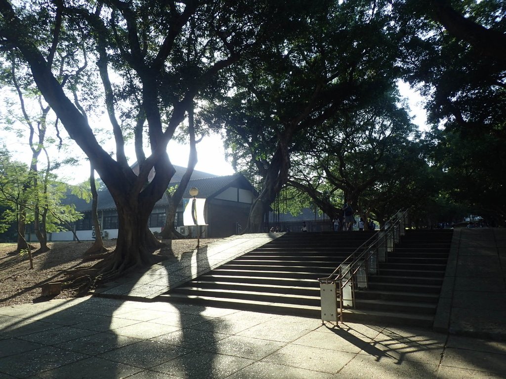 PA246566.JPG - 台中  東海大學校園巡禮