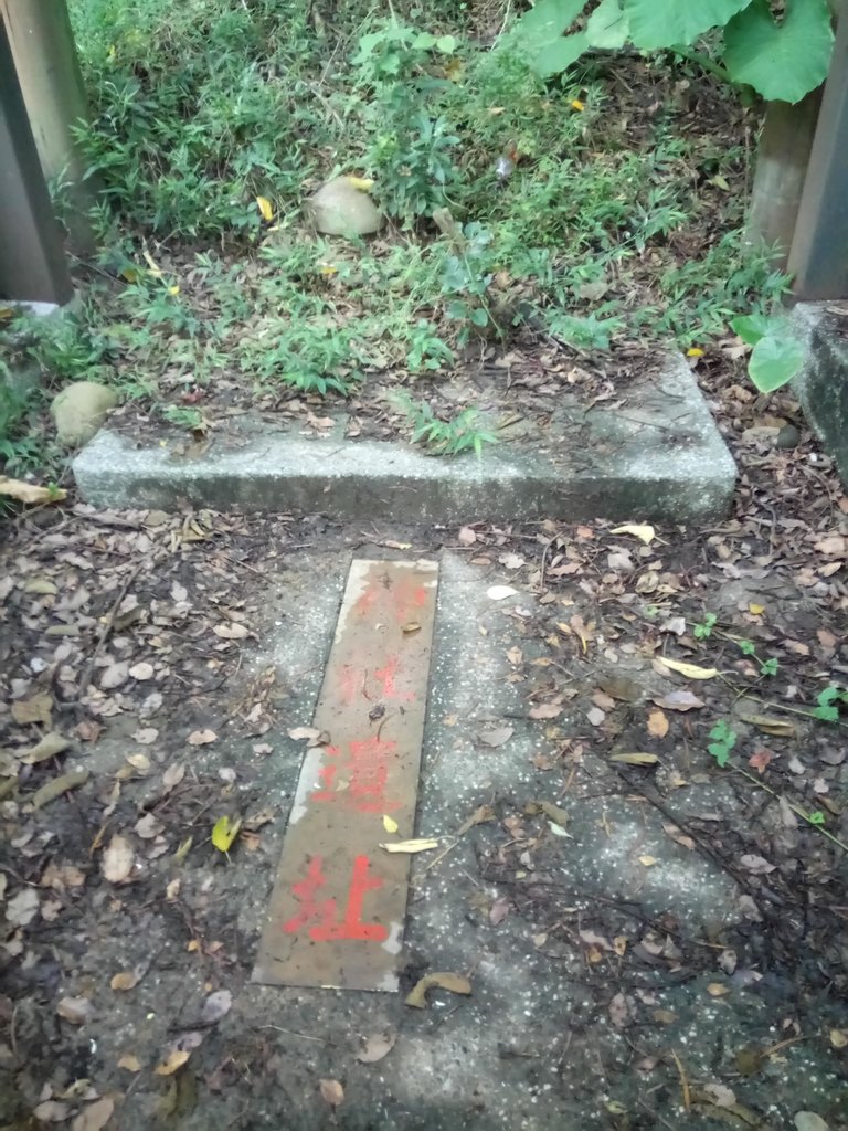 DSC_8988.JPG - 苗栗  稻荷神社遺址