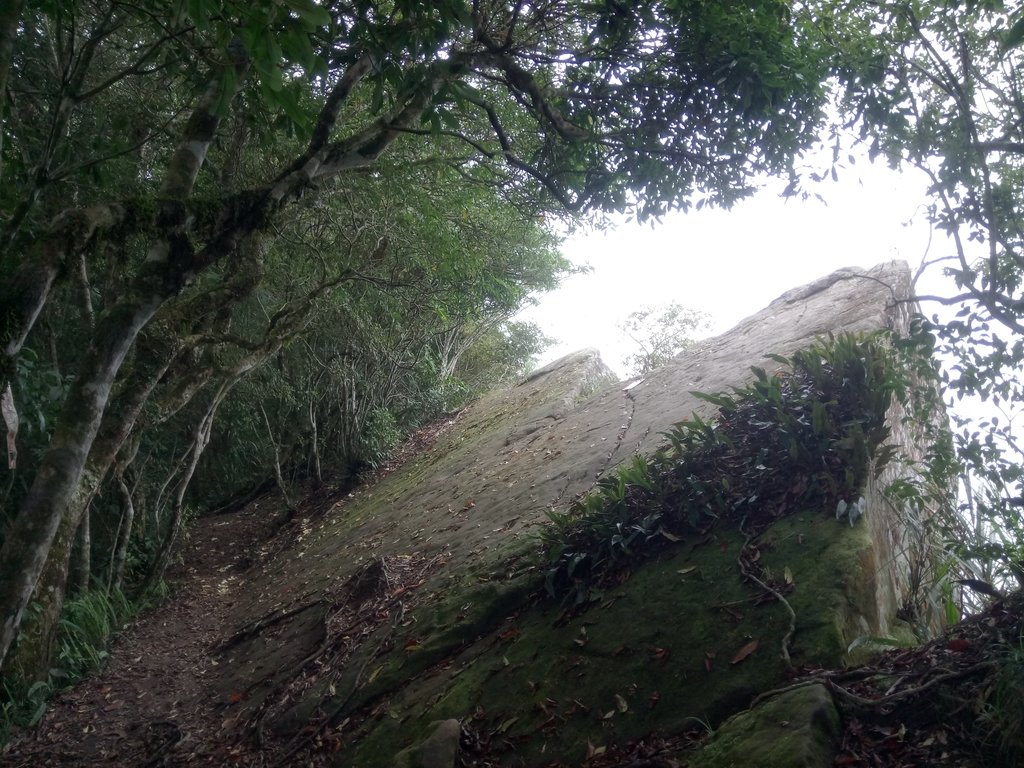 DSC_1263.JPG - 石壁山  嘉南雲峰步道