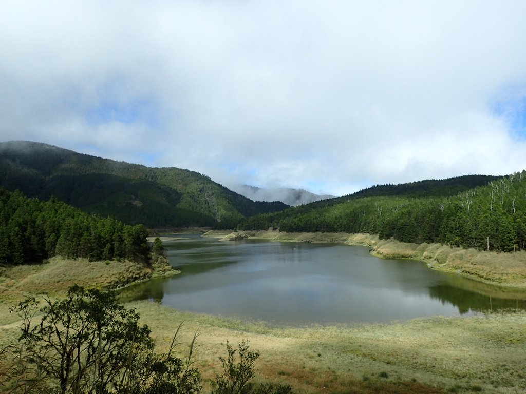 PB265379.JPG - 太平山  翠峰湖環山步道  02