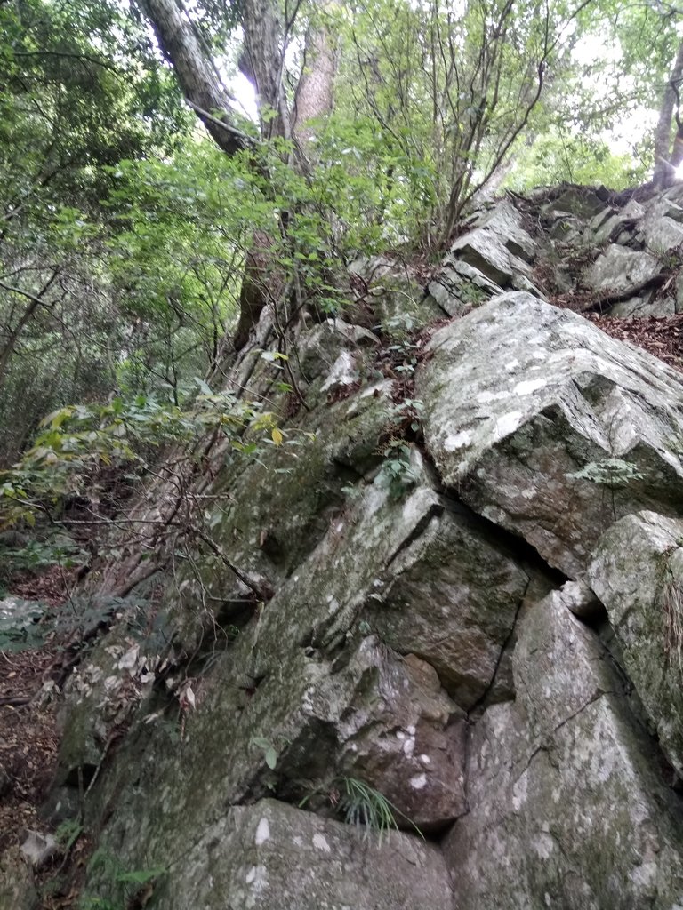 DSC_6451.JPG - 谷關七雄之  波津加山