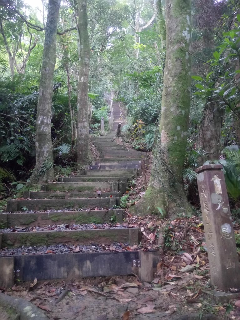 DSC_7167.JPG - 坪林  鬼子賴尖山