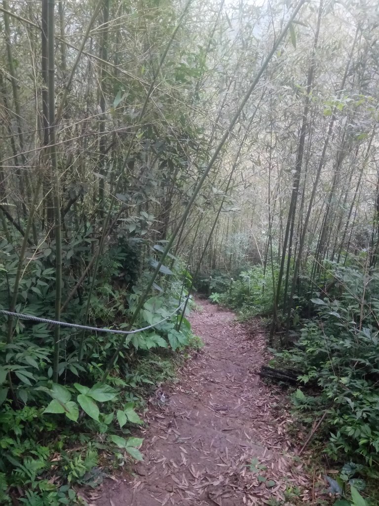 DSC_2869.JPG - 大湖  關刀山步道  (聖關段)