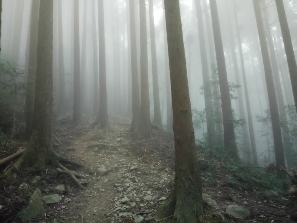 DSC_3799.JPG - 南庄  加里山  森林鐵道