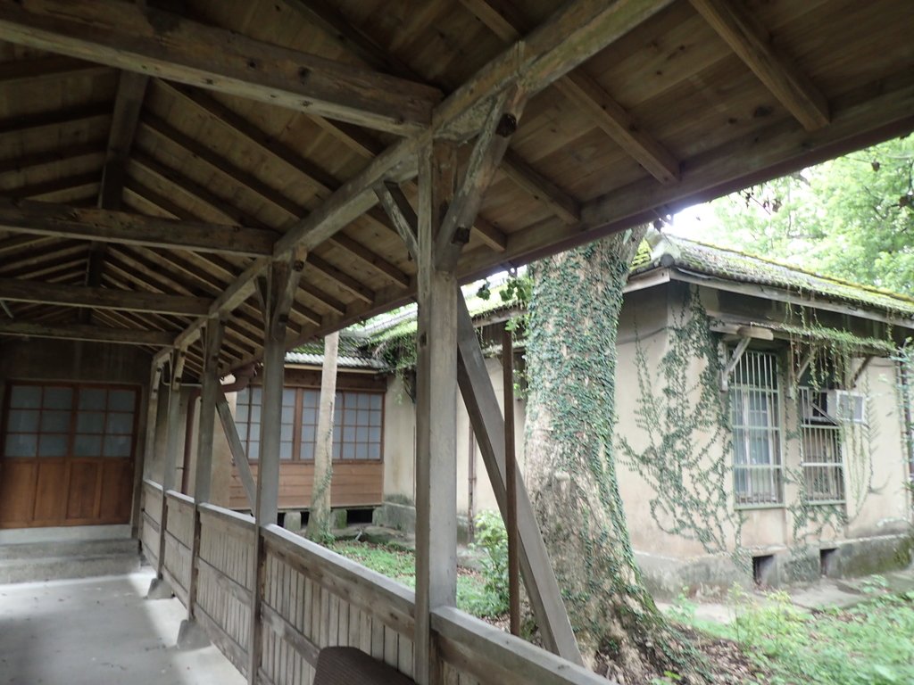 P4252071.JPG - 溫州街  大院子