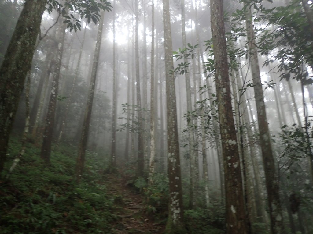 P9250147.JPG - 南庄  向天湖山  光天高山