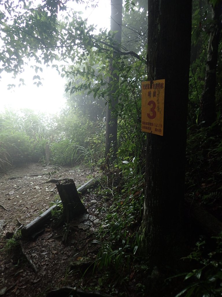 P9250154.JPG - 南庄  向天湖山  光天高山