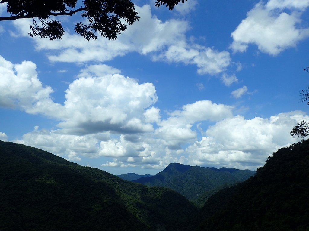 P8066218.JPG - 烏來  內洞林道  初探