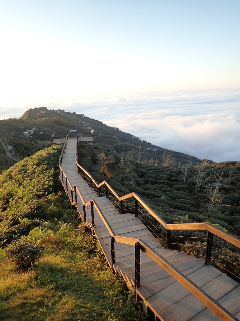 P1076417.JPG - 鹿谷  大崙山  觀霧亭之  暮光