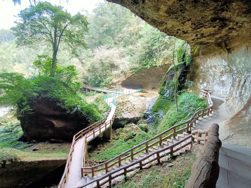 IMG20210205122730.jpg - 竹山  杉林溪森林遊樂園  路過