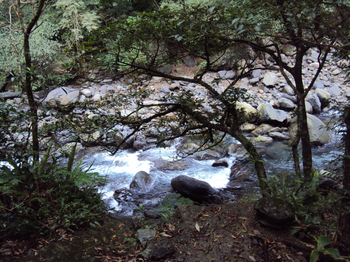 DSC04476.JPG - 三峽  滿月圓遊樂區