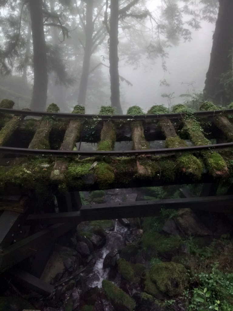 DSC_5620.JPG - 太平山 見晴懷古步道