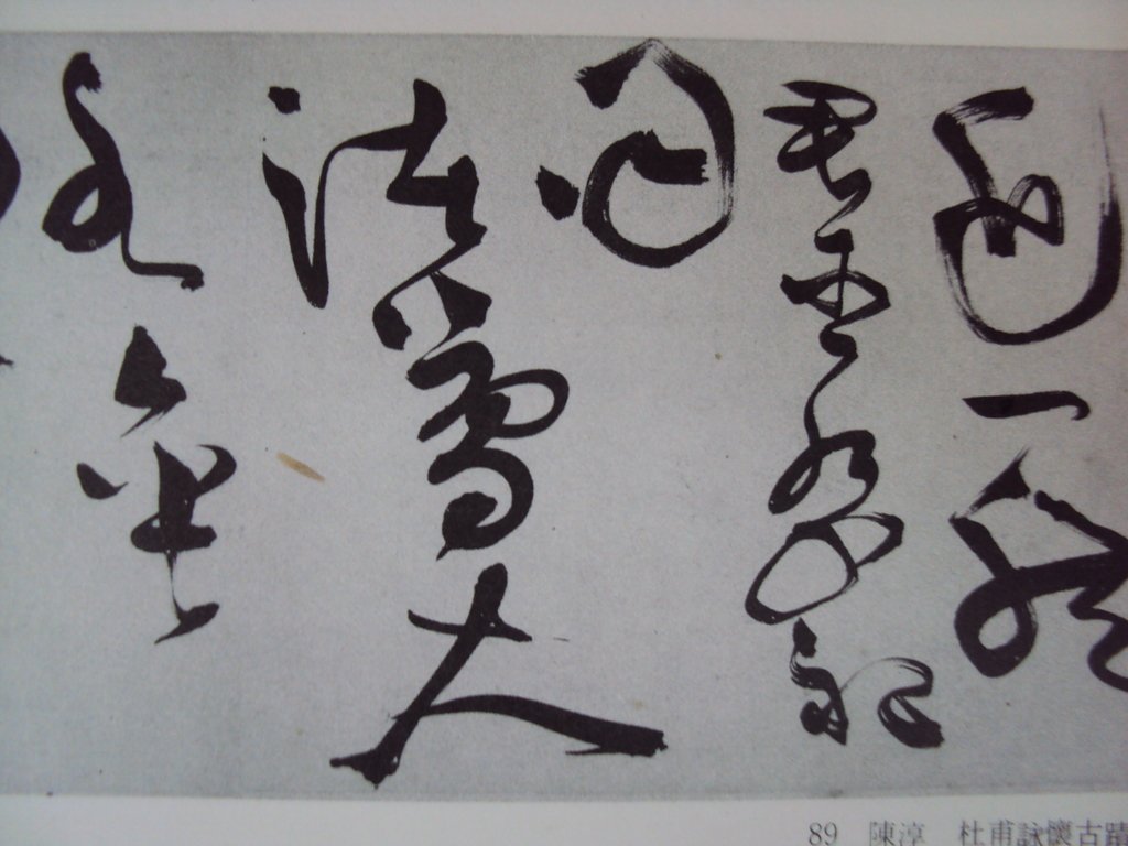 DSC09997.JPG - 陳淳的草書作品