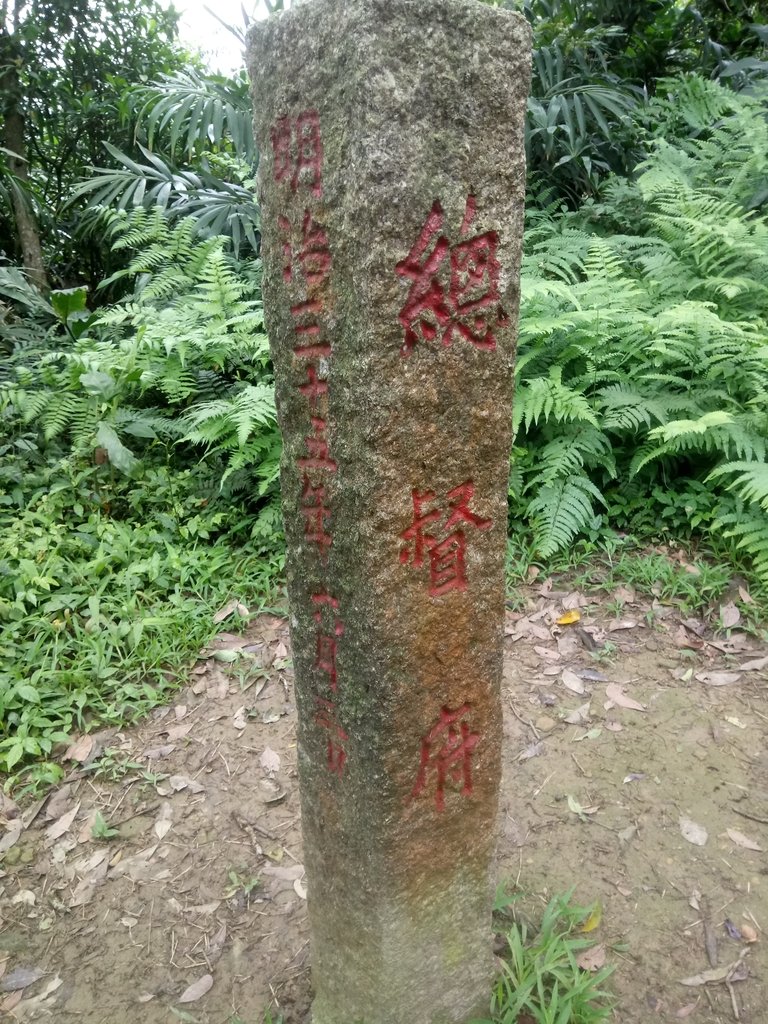 DSC_9324.JPG - 基隆  五坑山  總督嶺步道