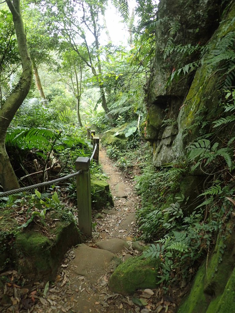 P2168031.JPG - 三峽  鳶山  (福德坑山)