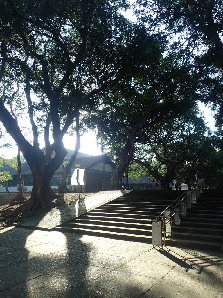 PA246567.JPG - 台中  東海大學校園巡禮