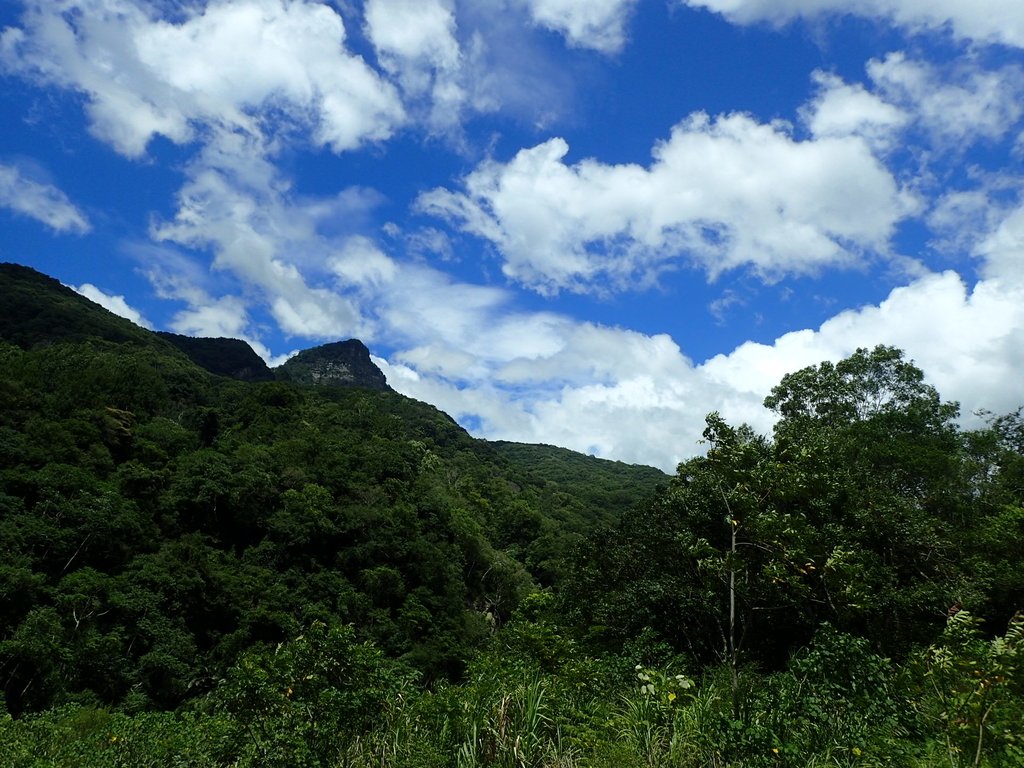 P8287374.JPG - 苗栗  泰安  虎山行