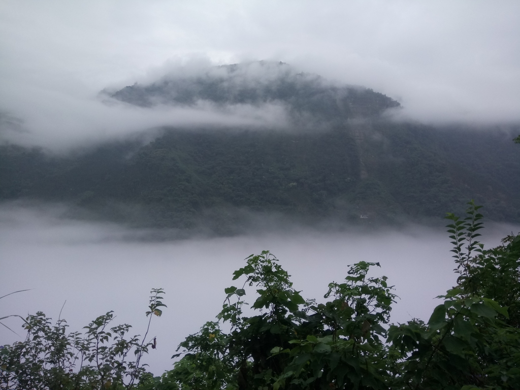 DSC_1141.JPG - 古坑  草嶺  雲山繚繞