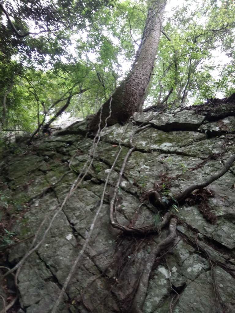 DSC_6454.JPG - 谷關七雄之  波津加山