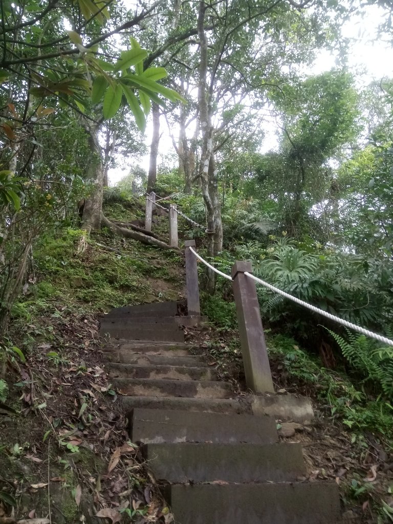 DSC_7174.JPG - 坪林  鬼子賴尖山