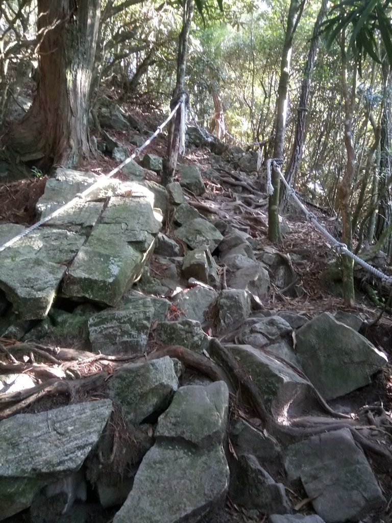 DSC_2587.JPG - 再訪---  台中  和平  鳶嘴山