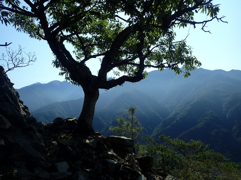 P3167185.JPG - 谷關  東卯山東南稜