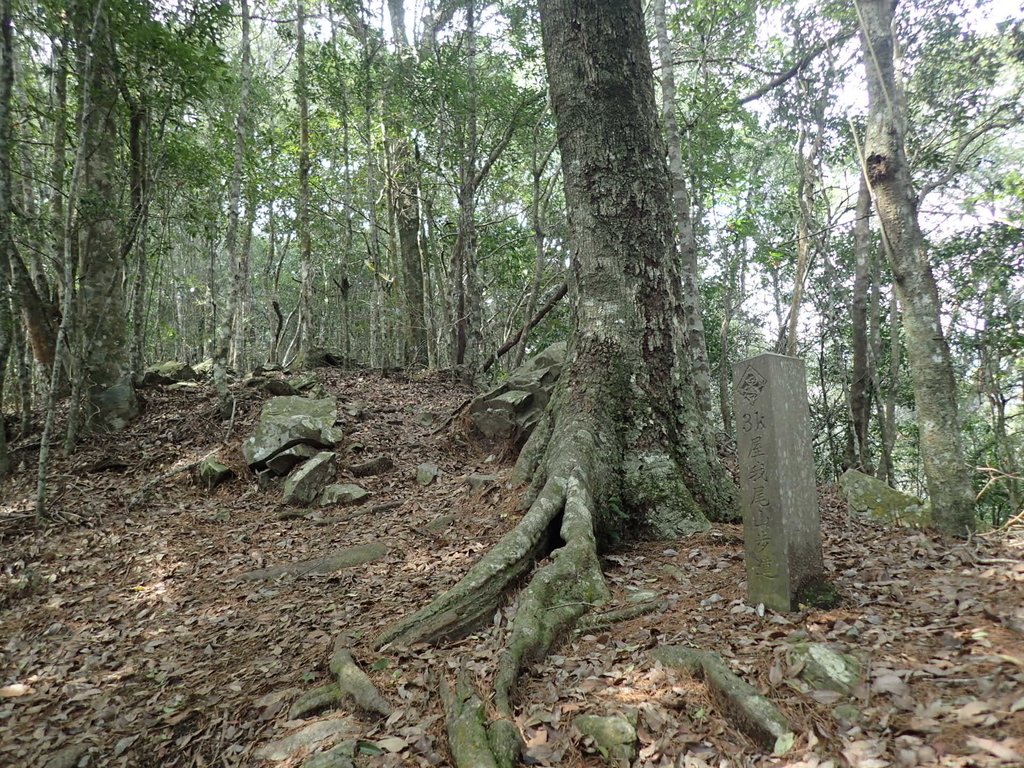 P3167328.JPG - 谷關七雄之  屋我尾山