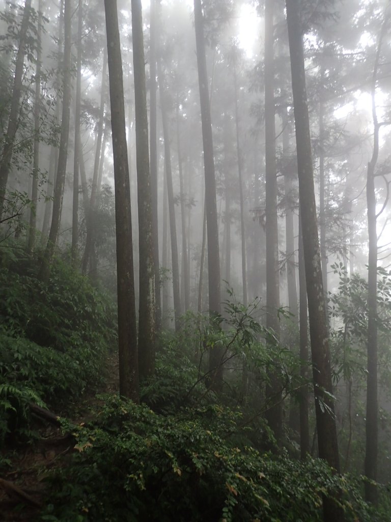 P9250156.JPG - 南庄  向天湖山  光天高山