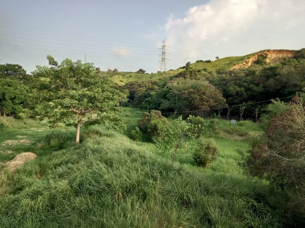 DSC_5834.JPG - 龍井  竹坑南寮登山步道