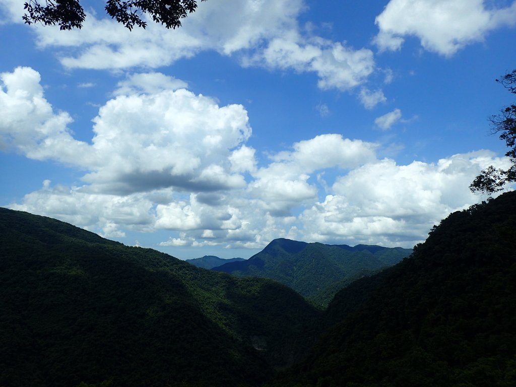 P8066219.JPG - 烏來  內洞林道  初探