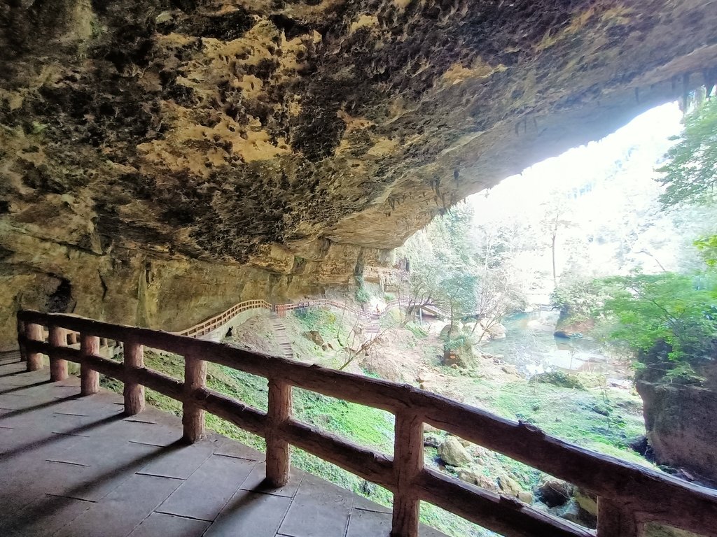 IMG20210205122747.jpg - 竹山  杉林溪森林遊樂園  路過