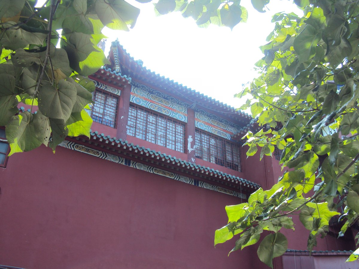 DSC08692.JPG - 再訪  歷史博物館