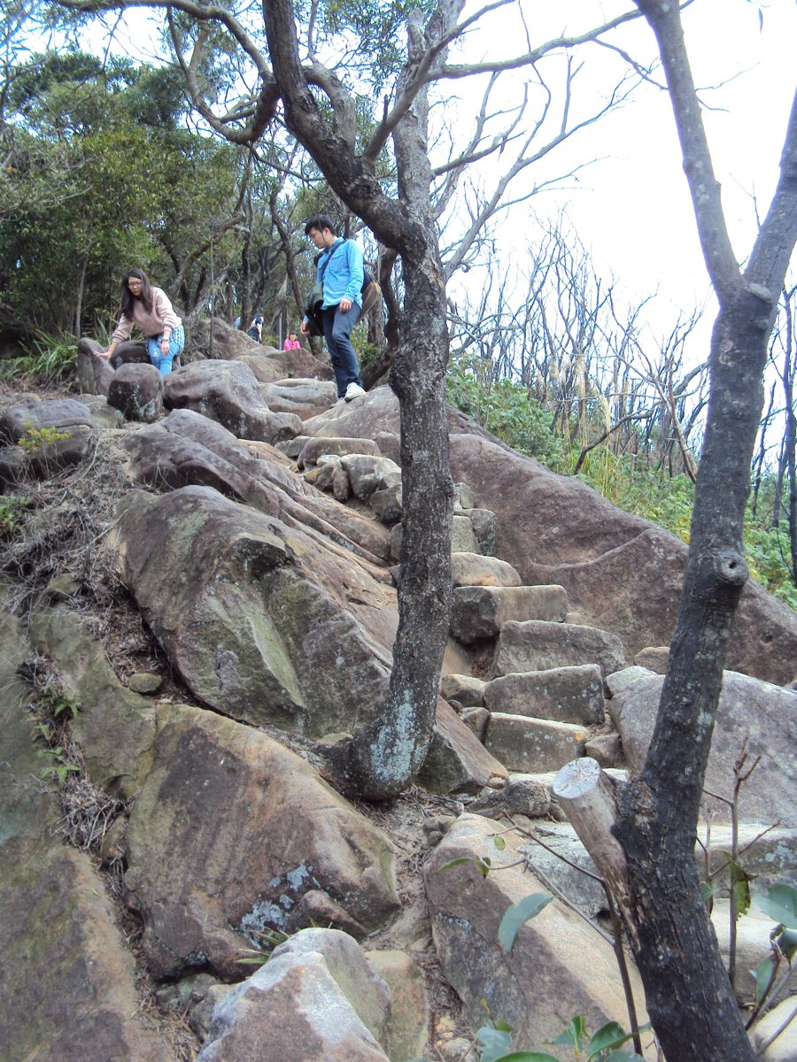 DSC06685.JPG - 內湖  金面山步道