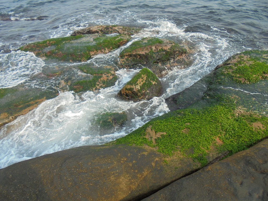 DSC01695.JPG - 金山  獅頭山  神秘海岸