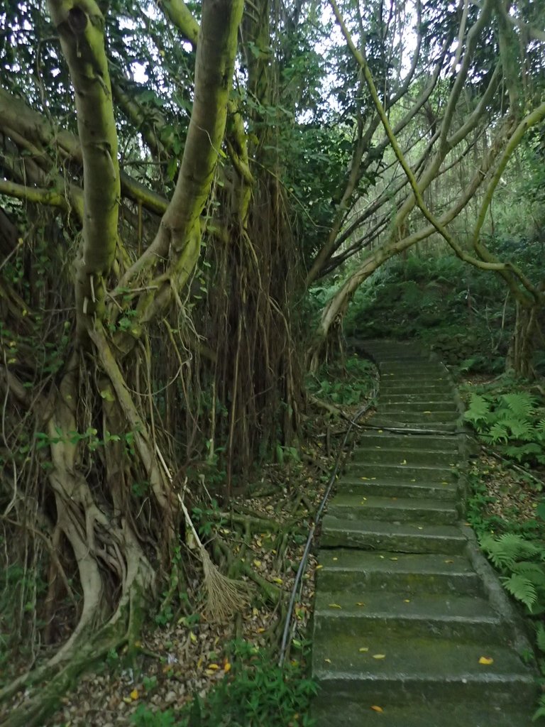 PC018108.JPG - 大直  正願禪寺