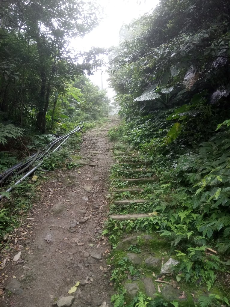 DSC_6185.JPG - 三峽  白雞山登山步道